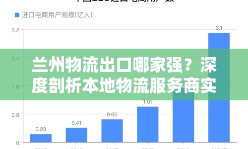 蘭州物流出口哪家強(qiáng)？深度剖析本地物流服務(wù)商實(shí)力與優(yōu)勢(shì)