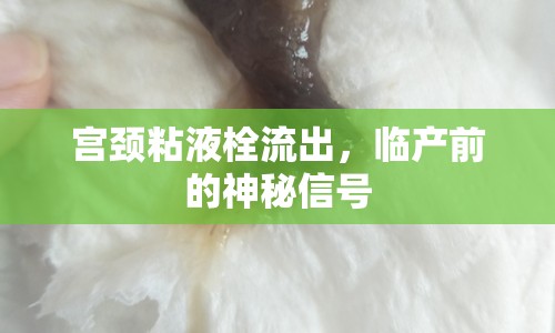 宮頸粘液栓流出，臨產(chǎn)前的神秘信號(hào)