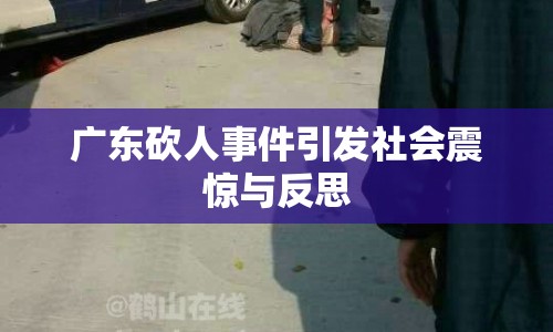 廣東砍人事件引發(fā)社會震驚與反思