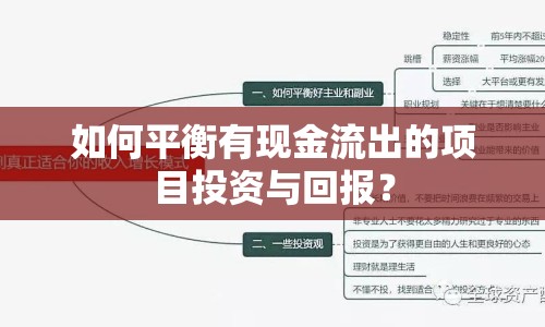 如何平衡有現(xiàn)金流出的項目投資與回報？