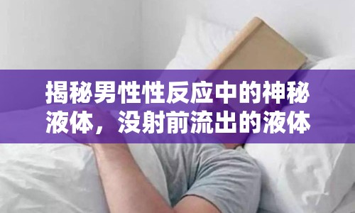 揭秘男性性反應(yīng)中的神秘液體，沒射前流出的液體是什么？