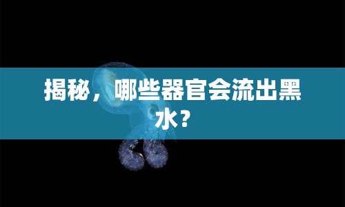 揭秘，哪些器官會流出黑水？