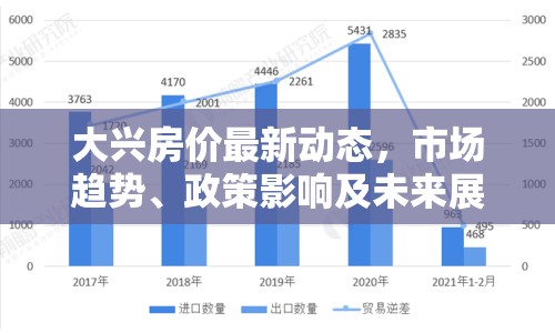 大興房價最新動態(tài)，市場趨勢、政策影響及未來展望