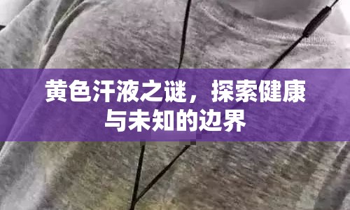 黃色汗液之謎，探索健康與未知的邊界