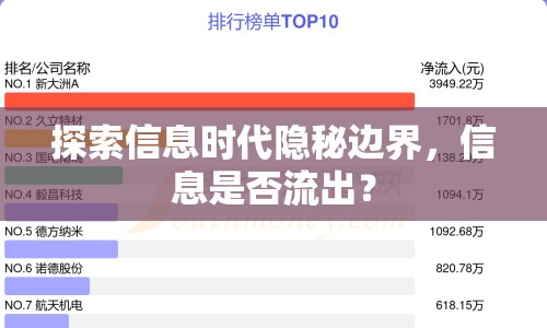 探索信息時(shí)代隱秘邊界，信息是否流出？