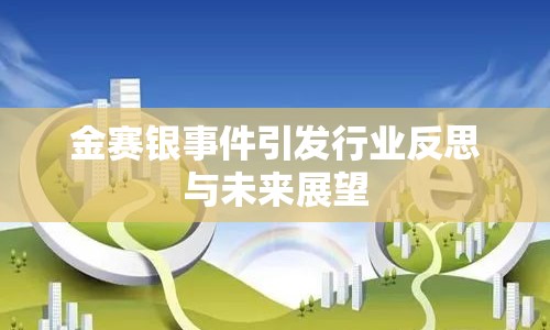 金賽銀事件引發(fā)行業(yè)反思與未來展望