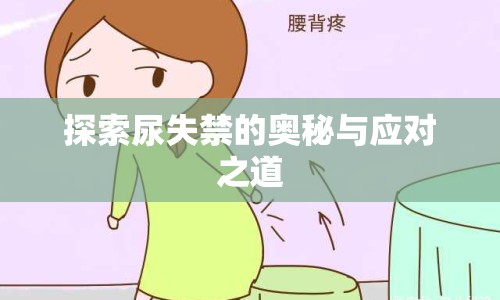 探索尿失禁的奧秘與應對之道