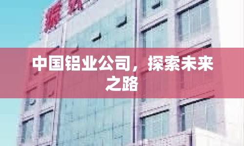 中國鋁業(yè)公司，探索未來之路