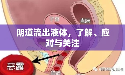 陰道流出液體，了解、應對與關注