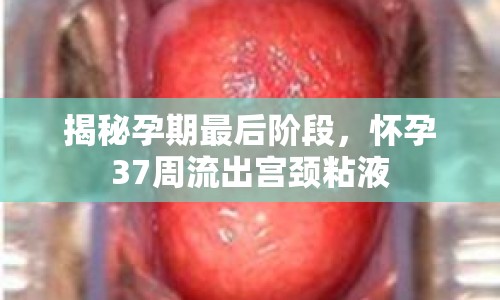 揭秘孕期最后階段，懷孕37周流出宮頸粘液