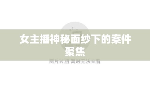 女主播神秘面紗下的案件聚焦