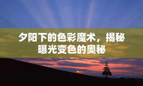 夕陽下的色彩魔術，揭秘曝光變色的奧秘