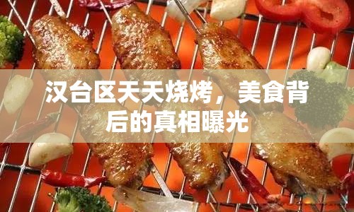 漢臺區(qū)天天燒烤，美食背后的真相曝光