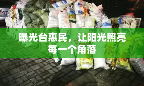 曝光臺惠民，讓陽光照亮每一個角落