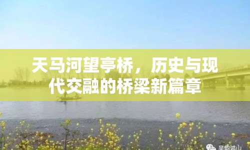 天馬河望亭橋，歷史與現(xiàn)代交融的橋梁新篇章