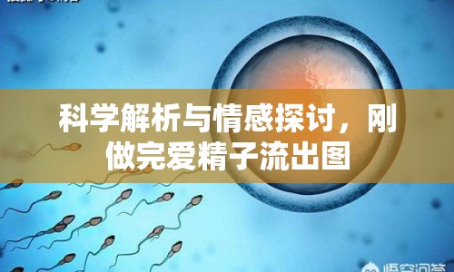 科學(xué)解析與情感探討，剛做完愛精子流出圖