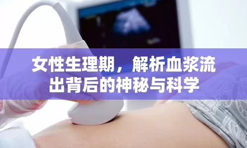 女性生理期，解析血漿流出背后的神秘與科學