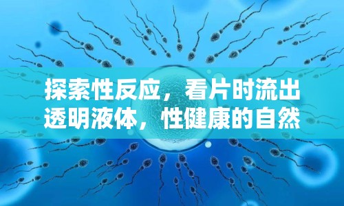 探索性反應，看片時流出透明液體，性健康的自然表現