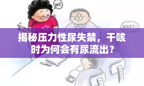 揭秘壓力性尿失禁，干咳時(shí)為何會(huì)有尿流出？