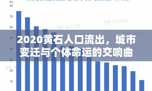 2020黃石人口流出，城市變遷與個體命運的交響曲