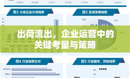 出荷流出，企業(yè)運營中的關(guān)鍵考量與策略