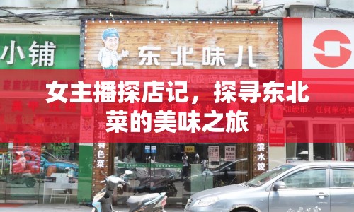 女主播探店記，探尋東北菜的美味之旅