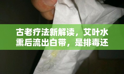 古老療法新解讀，艾葉水熏后流出白帶，是排毒還是風險？