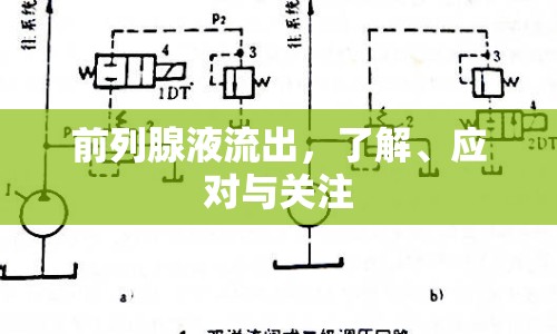 前列腺液流出，了解、應(yīng)對(duì)與關(guān)注