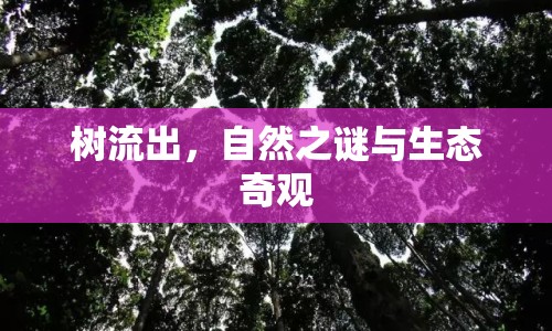 樹流出，自然之謎與生態(tài)奇觀