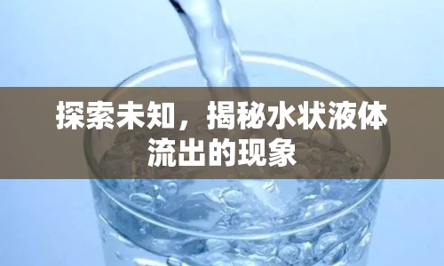 探索未知，揭秘水狀液體流出的現(xiàn)象