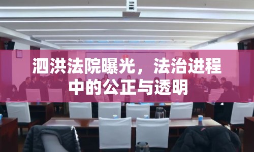 泗洪法院曝光，法治進(jìn)程中的公正與透明