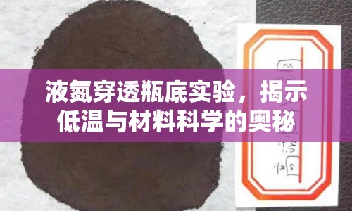 液氮穿透瓶底實驗，揭示低溫與材料科學(xué)的奧秘