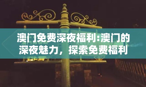 澳門免費深夜福利:澳門的深夜魅力，探索免費福利的多樣體驗