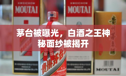 茅臺被曝光，白酒之王神秘面紗被揭開