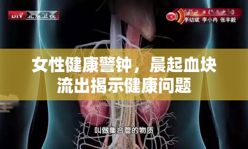 女性健康警鐘，晨起血塊流出揭示健康問題