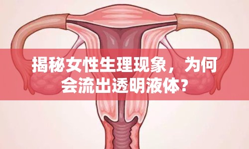 揭秘女性生理現(xiàn)象，為何會流出透明液體？