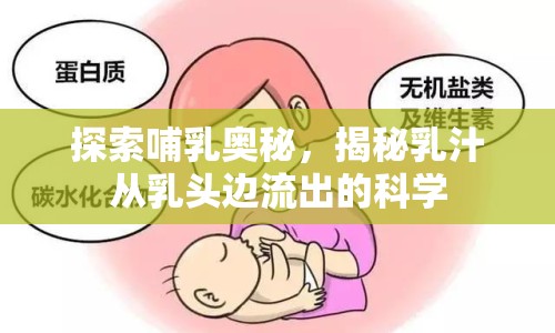 探索哺乳奧秘，揭秘乳汁從乳頭邊流出的科學