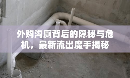 外購溝廁背后的隱秘與危機，最新流出魔手揭秘