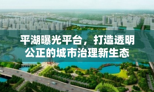 平湖曝光平臺，打造透明公正的城市治理新生態(tài)