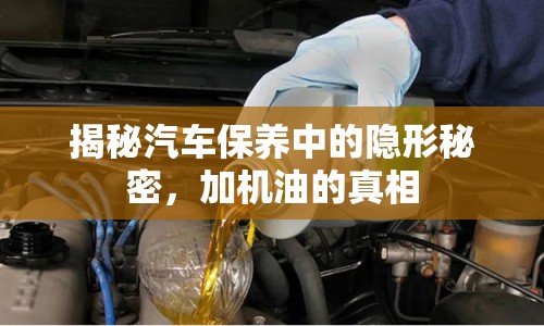 揭秘汽車保養(yǎng)中的隱形秘密，加機(jī)油的真相