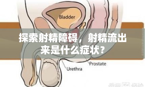 探索射精障礙，射精流出來是什么癥狀？