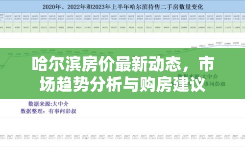 哈爾濱房價最新動態(tài)，市場趨勢分析與購房建議