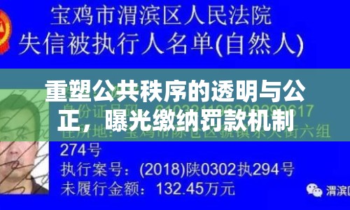 重塑公共秩序的透明與公正，曝光繳納罰款機(jī)制