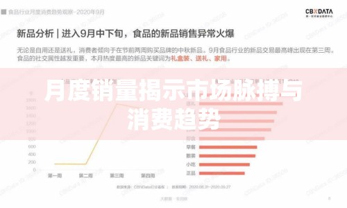 月度銷量揭示市場脈搏與消費趨勢