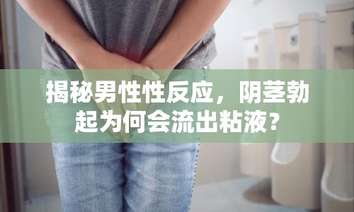 揭秘男性性反應(yīng)，陰莖勃起為何會流出粘液？