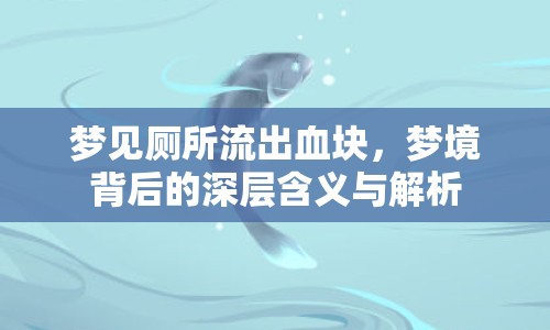 夢見廁所流出血塊，夢境背后的深層含義與解析