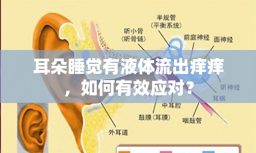 耳朵睡覺有液體流出癢癢，如何有效應(yīng)對？