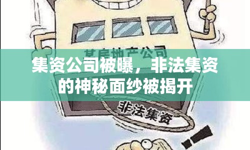 集資公司被曝，非法集資的神秘面紗被揭開(kāi)