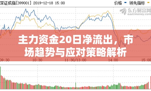 主力資金20日凈流出，市場趨勢與應對策略解析