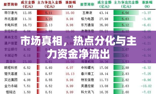 市場真相，熱點分化與主力資金凈流出